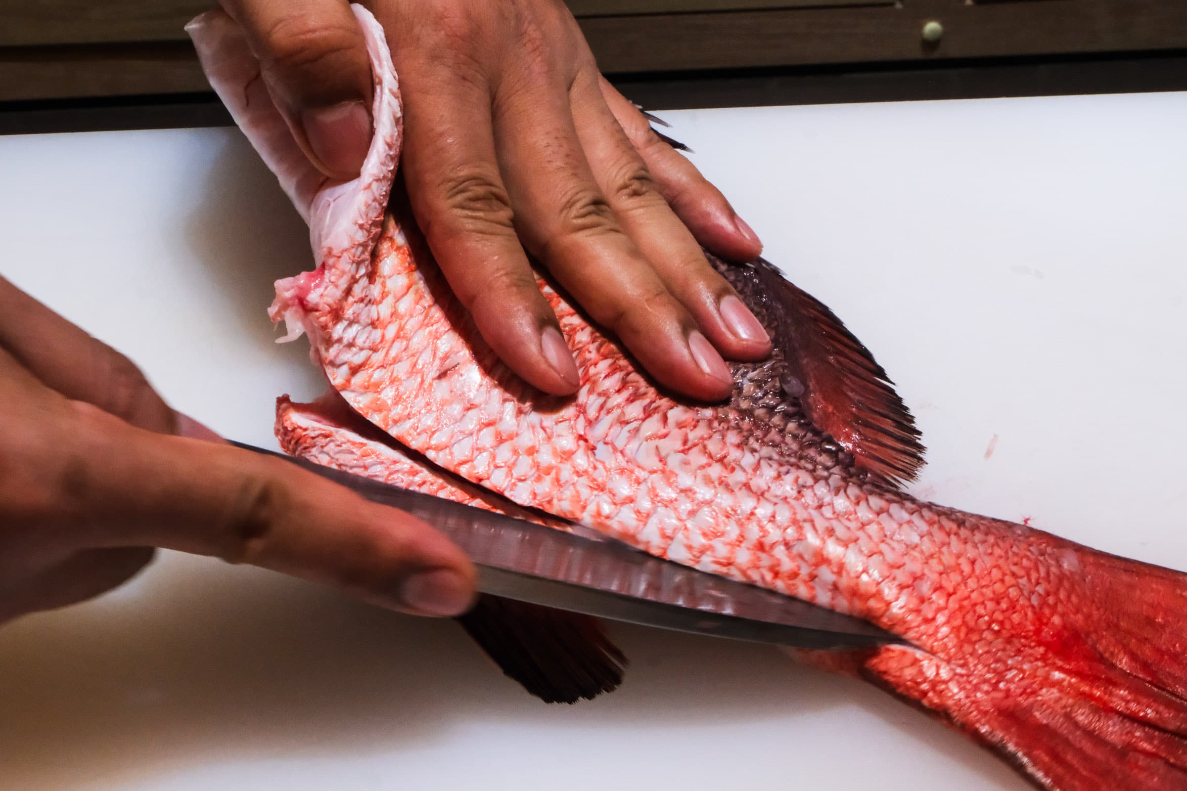 Chef filleting fresh red snapper